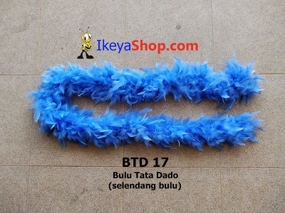 BTD 17  large2